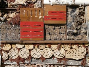 Teneriffa Permakultur: Insektenhotel