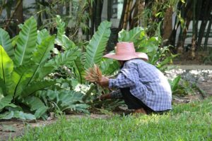 WorkAway on Tenerife | Volunteering Tenerife