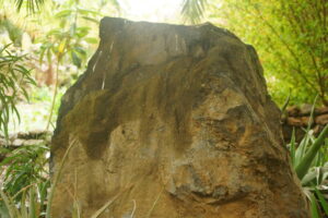 DSC09072