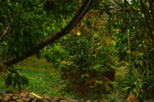 DSC09319